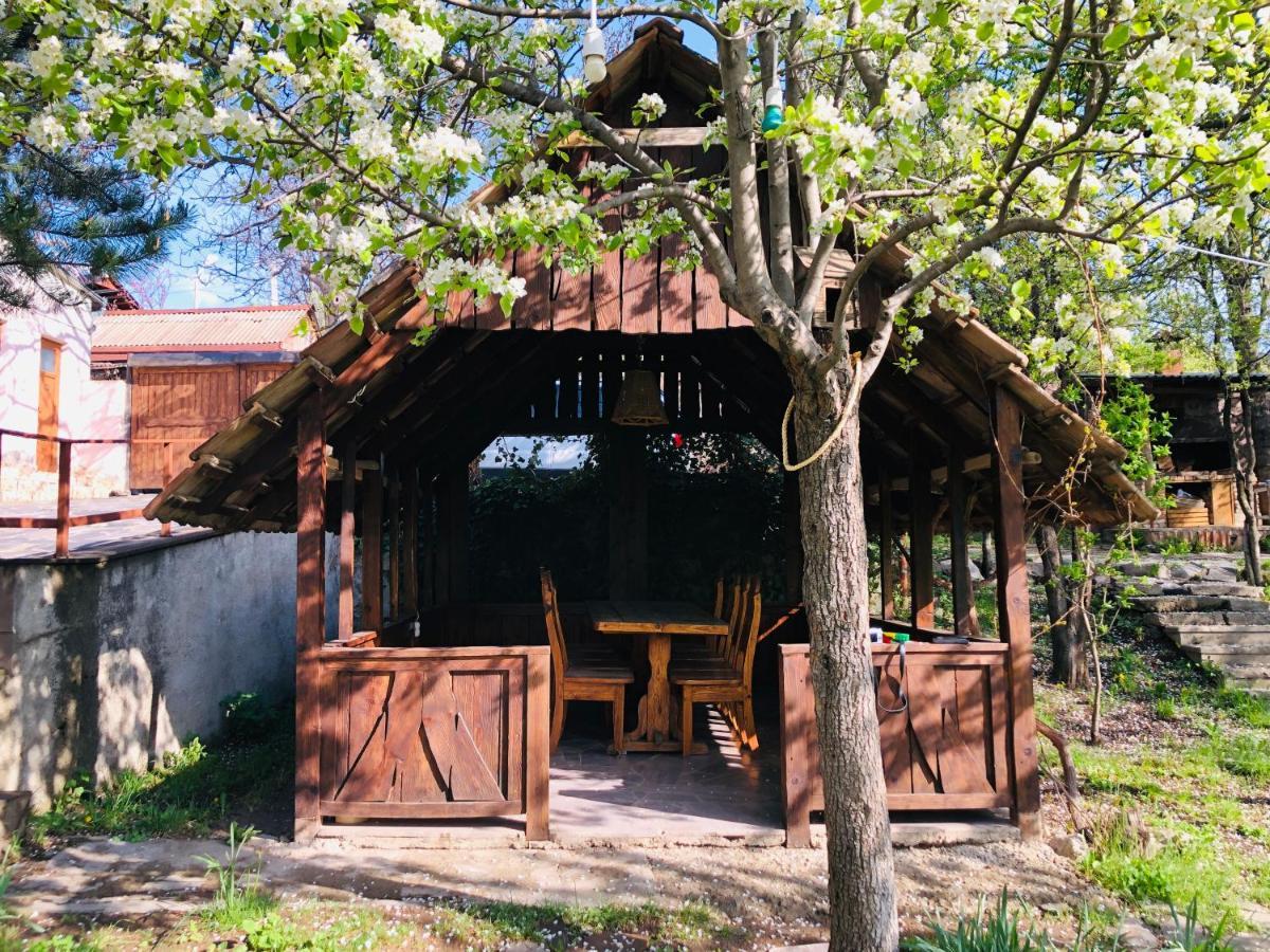 Bed & Breakfast Dil Hill By Sam *