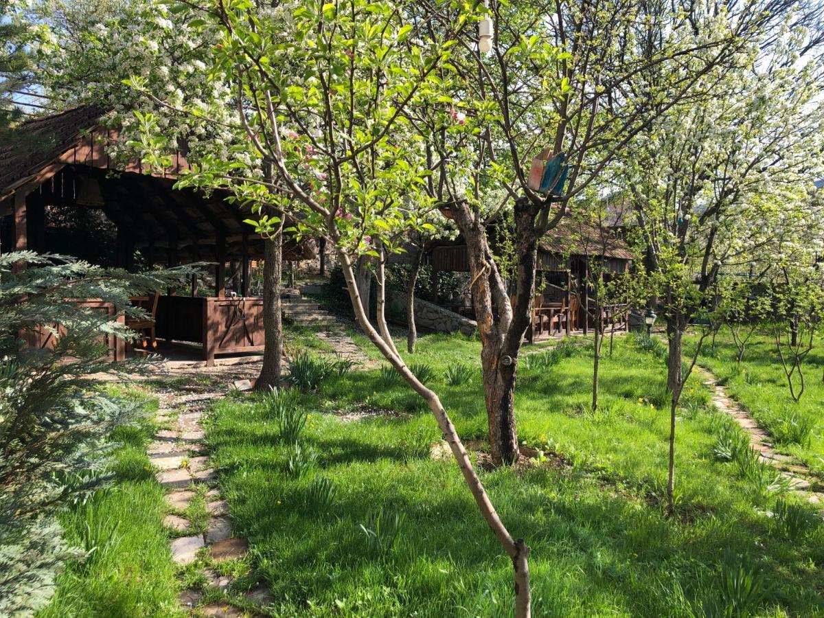 Dil Hill By Sam Bed & Breakfast